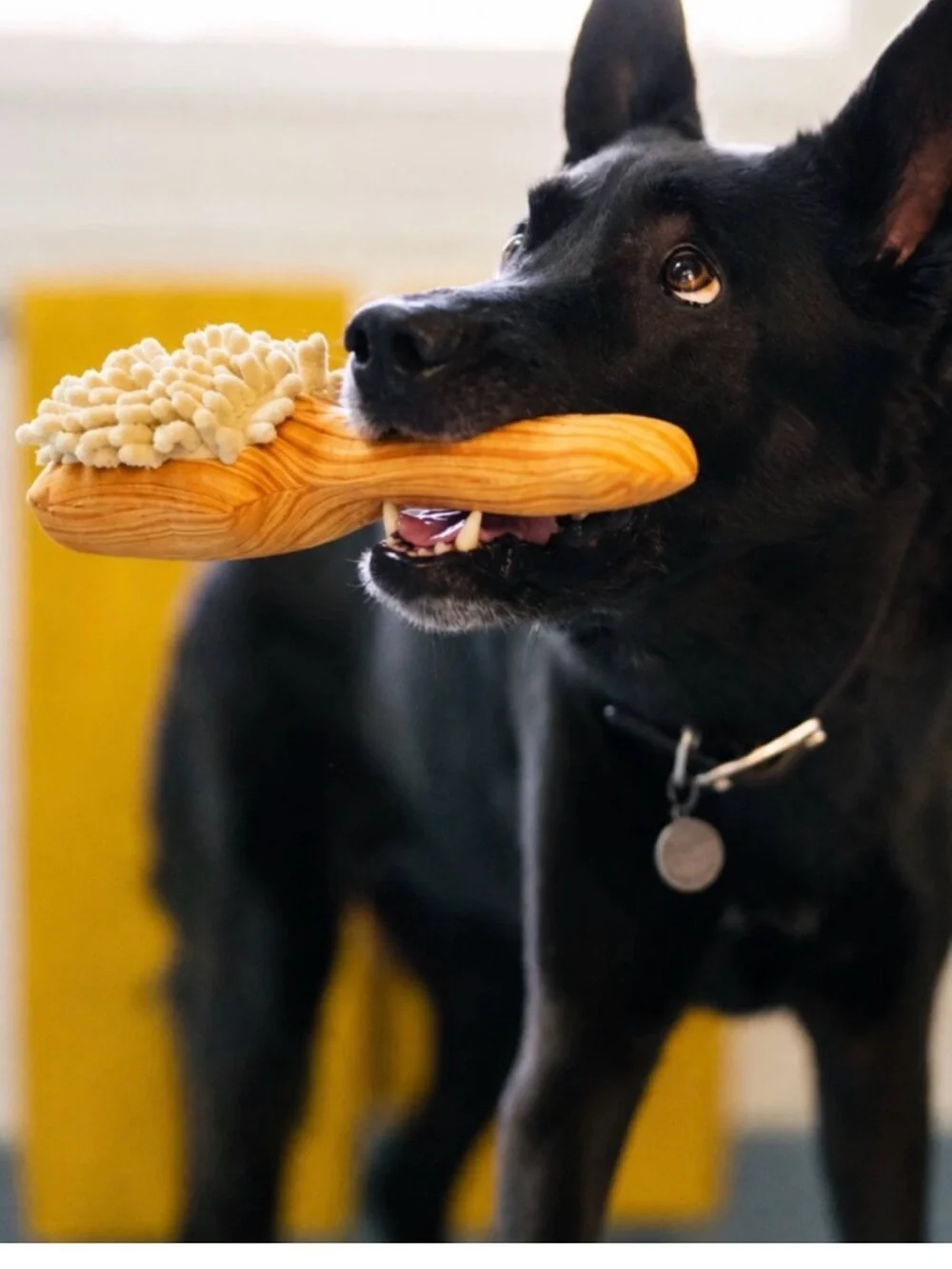 NWT Large/XL P.L.A.Y. Spaw Day Bark 'n Bristles Plush Dog Toy Squeak & Crinkle